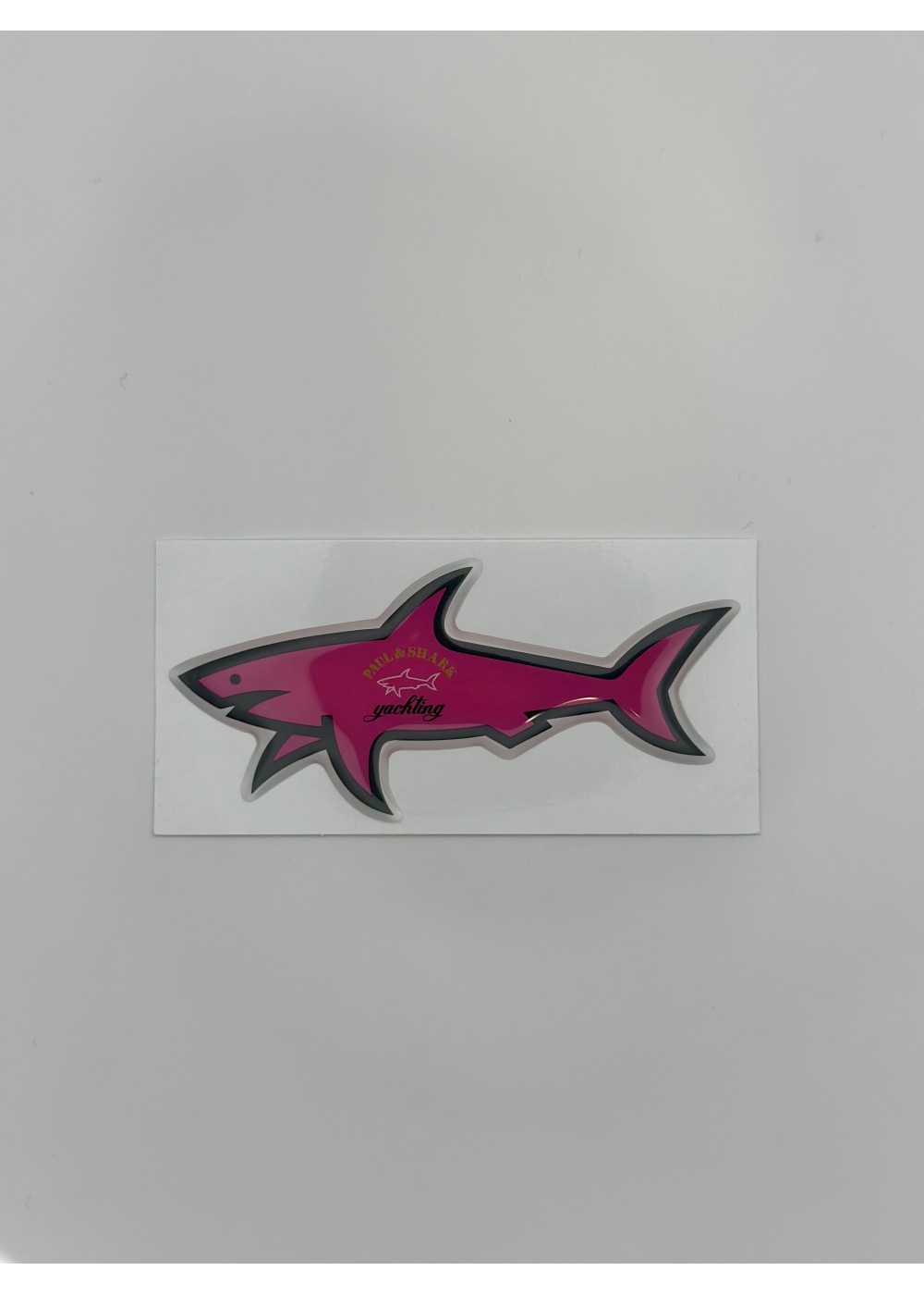 STICKERS SHARK STICKER SHARK ROSE  SHARKROSE chez Graphiti Concept Store Dieppe