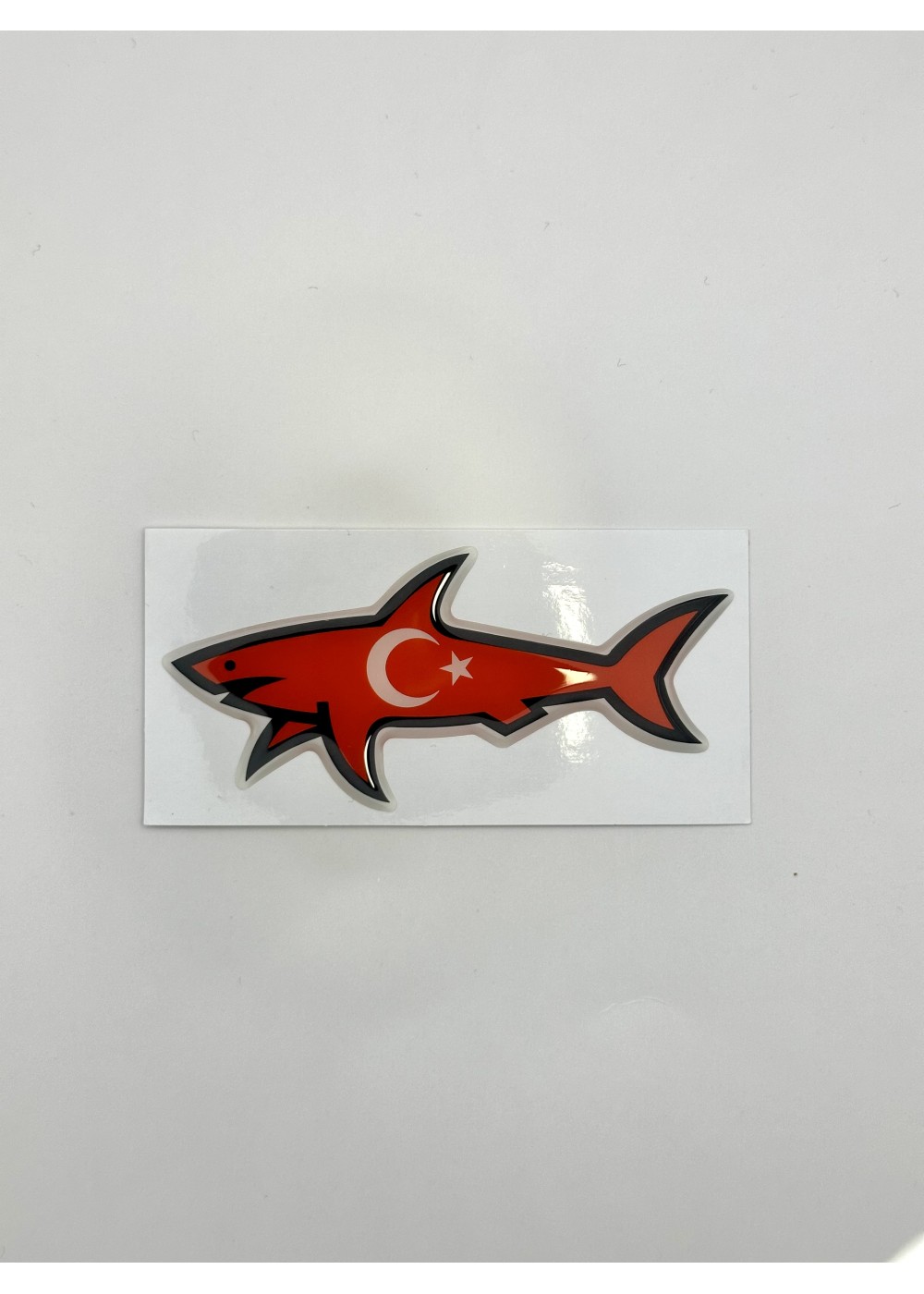 STICKERS SHARK STICKER SHARK TURQUIE  SHARKTURQUIE chez Graphiti Concept Store Dieppe